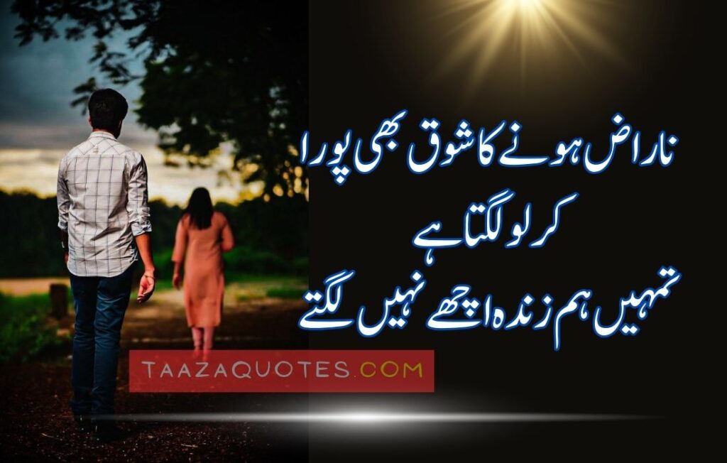 Attitude Quotes In Urdu