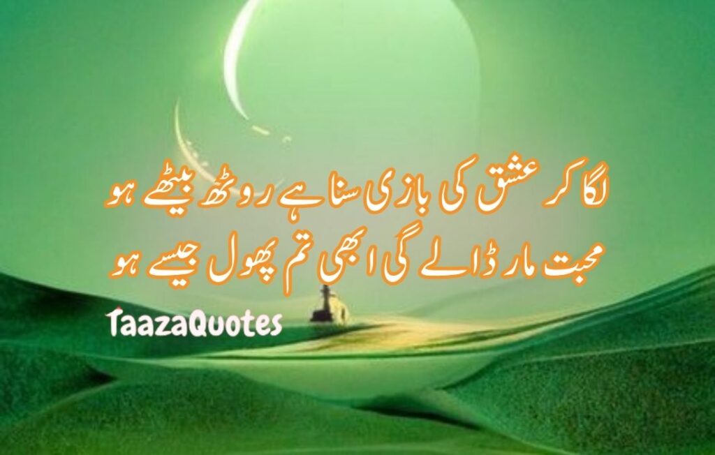 Smart Quotes In Urdu