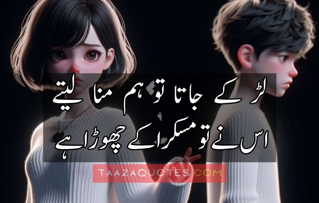 Attitude Quotes In Urdu