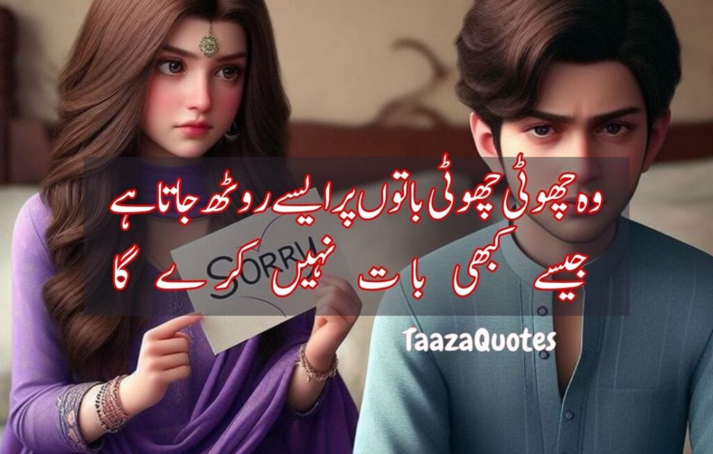 Attitude Quotes In Urdu